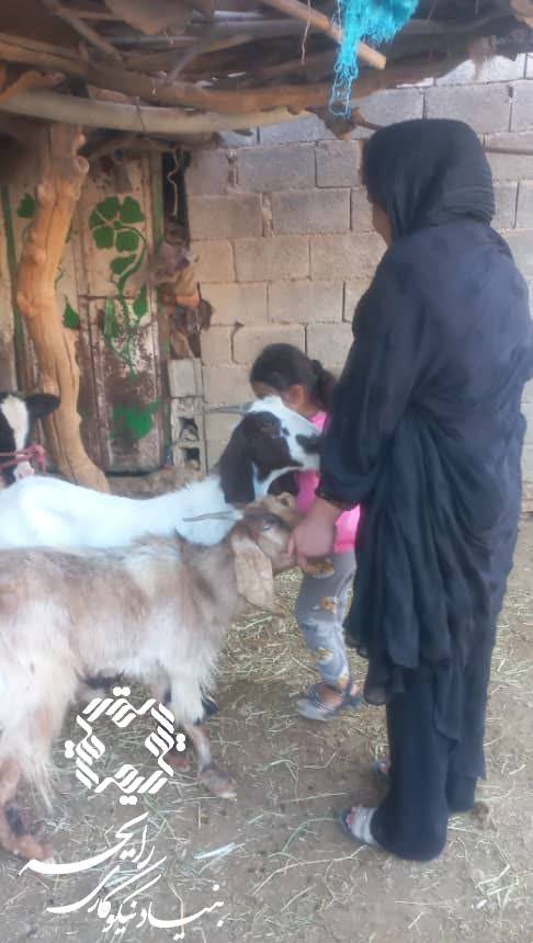 سوق405-4 سوق405 4